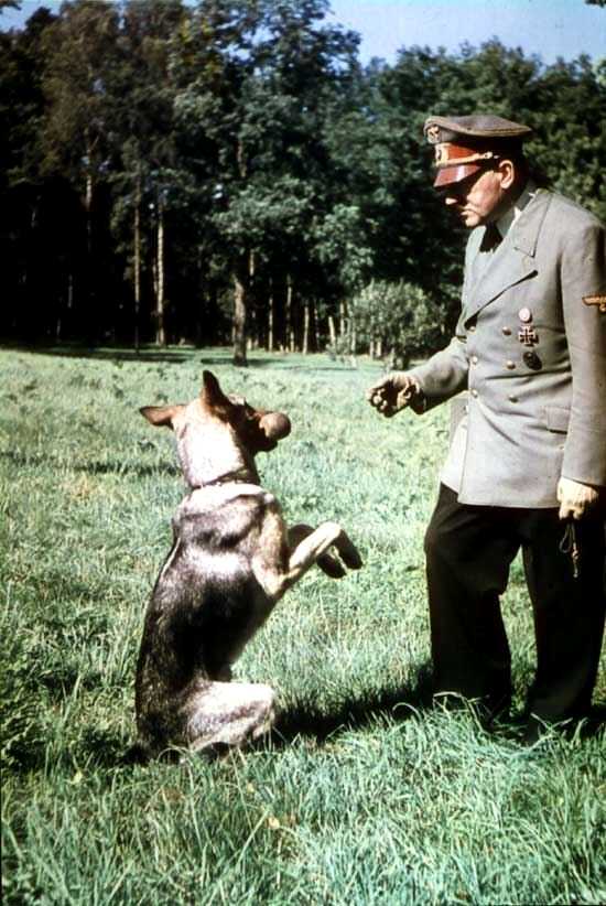Color_picture Hitler with his dog Blondi